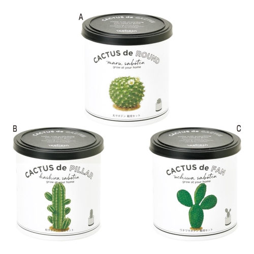 ノベルティ：[栽培セット] カクタスdeカクタス